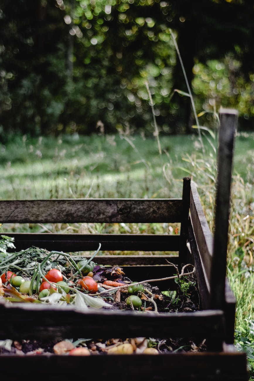 composting in the backyard